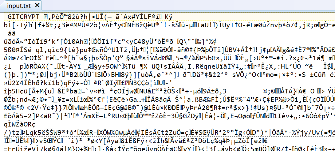 Encrypted Input File